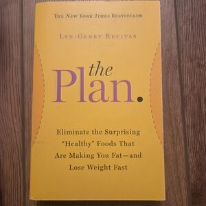 The Plan by Lyn-Genet Recitas - Yellow Paperback